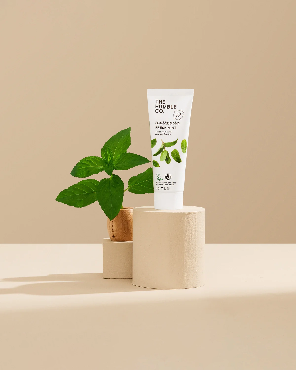 natural-toothpaste-fresh-mint-406915_1